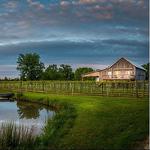 Bomar & Ritter "Live" - At The Barn Winery Party On The Patio