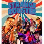 Strange Rooster - 9 piece Soul Band