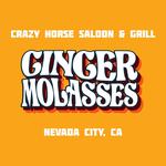 Hot Summer Nights After Party at Crazy Horse