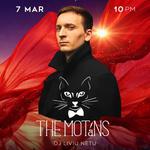 The Motans, Concert KAYA - Onesti