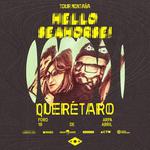 Hello Seahorse! en Queretaro