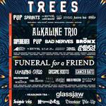2000 Trees Festival 