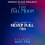 THE FULL MOON • Music Journey by Never Dull