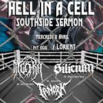 DYGORA + SILICIUM + TANORK