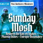 Sunday Mosh - Between The Rats & Snakes + Phoenix Ashes + Entropic Dissonance