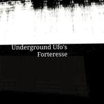 With Georges Mérillon - Big Festival Brut 2026