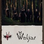 Con Morhen: Krev olší (Con Morhen: The Alder Blood)