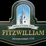 Fitzwilliam's Summer Concerts on the Common