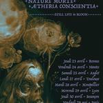 Nature Morte + Ætheria Conscientia + Korsakov