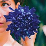 Azilis aux CHAMPS LIBRES