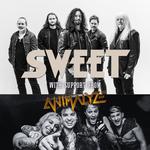 THE SWEET - SUPPORT: ANIMALYZE