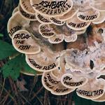 Friday the 13th at Ashbary Coffeehouse