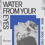 Big Fat Head w/ Water From Your Eyes