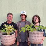 Myers/Watson/Forsyth @ Cellar Cat