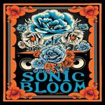 Sonic Bloom: The Mascot Theory & Friends at Seminole Tap