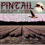 Pintail Polaroids Phobia Velvet Heart