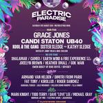 Electric Paradise
