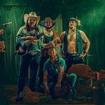 The Swamp Stomp String Band