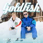 GoldFish on Snowmass