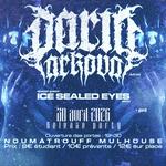 Release Party DARIA ARKOVA + ICE SEALED EYES + GUEST - Noumatrouff Mulhouse
