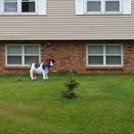 Songwriter Rounds at Savage Tap