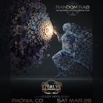 Stealys Grand Opening