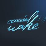 Coaxial Wake Live at 12th Street Bar, Huntsville TX