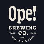 Andrew & Michael w/3rd Coast Blues Collective Rhythm Section (Matt Liban & Kurt Koenig)