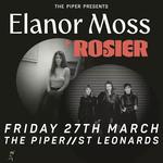 Woodpig - the Piper - St Leonards