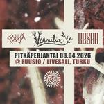 Vermilia, Besra, Kouta