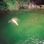 tommy flynn live canton masss