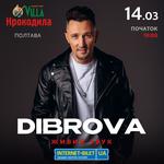 Сольний концерт DIBROVA у Полтаві