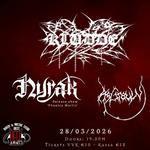 Kludde | Nyrak | Asgrauw 