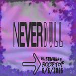 Never Dull at Elsewhere Rooftop