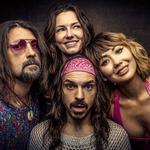 MADAM RADAR Live at The Red Shed