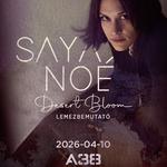 04.10. Saya Noé @A38, Budapest