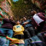 Zapp Test 73.0 w/ Modern Munk