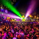 Jungle Experience  2026