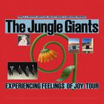 Experiencing Feelings of Joy Tour - Perth