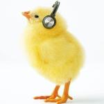 菅野よう子 / Yoko Kanno