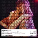 Aérostat Palace à 1001 Bières (Amiens, 80)