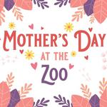 Anne Luna and the Great Unconformity play Mother's Day at the Zoo