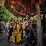 The Beard and the Bird at Blueberry Treehouse Cafe