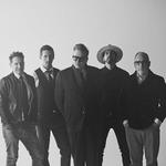 The Shellye Valauskas EXP Electric Elm The Sheila Devine