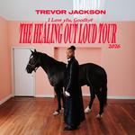 I Love You, Goodbye. The Healing Out Loud Tour 2026