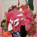 Ponybird, Susan Jensen, & Brian Gore w/The Tender Fritters at Strange Brew