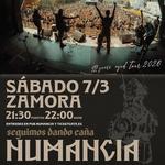 Moonshine Wagon en Zamora