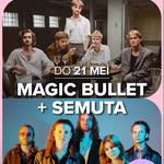 Magic Bullet + Semuta