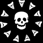 The Black Armada Band