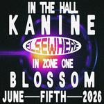 Blossom - Zone One Elsewhere